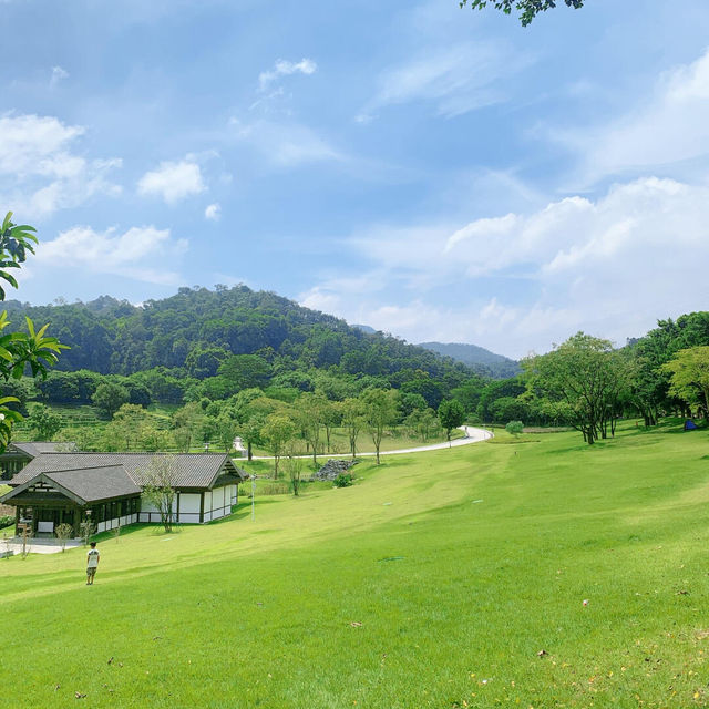 唔系京都❗️系中山‼️值N刷嘅公園 中山公園天花板