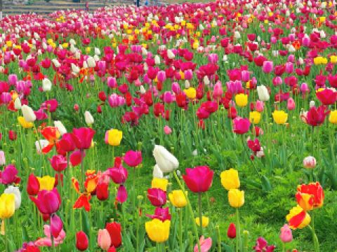 沉浸式看大自然的調色盤