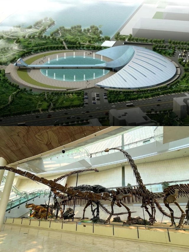 天津常走走｜開學季開啟快樂學習之旅！