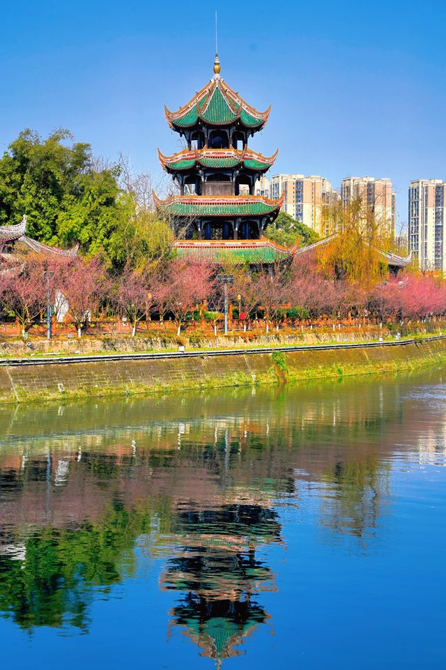 成都！地鐵直達！紅梅遇上中式建築真的封神