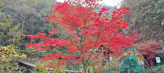 什邡-神瀑溝