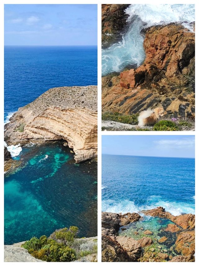 林肯港：澳洲的海濱瑰寶