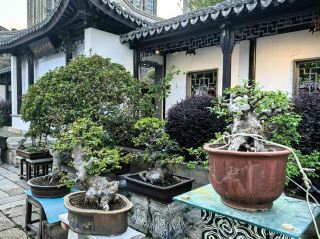 Changzhou—How Can I Not Miss Her?