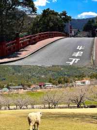 闖進現實版日本童話小鎮｜誤入小眾霧島市