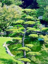 春日浪漫天花板櫻花花火一日遊｜附攻略。