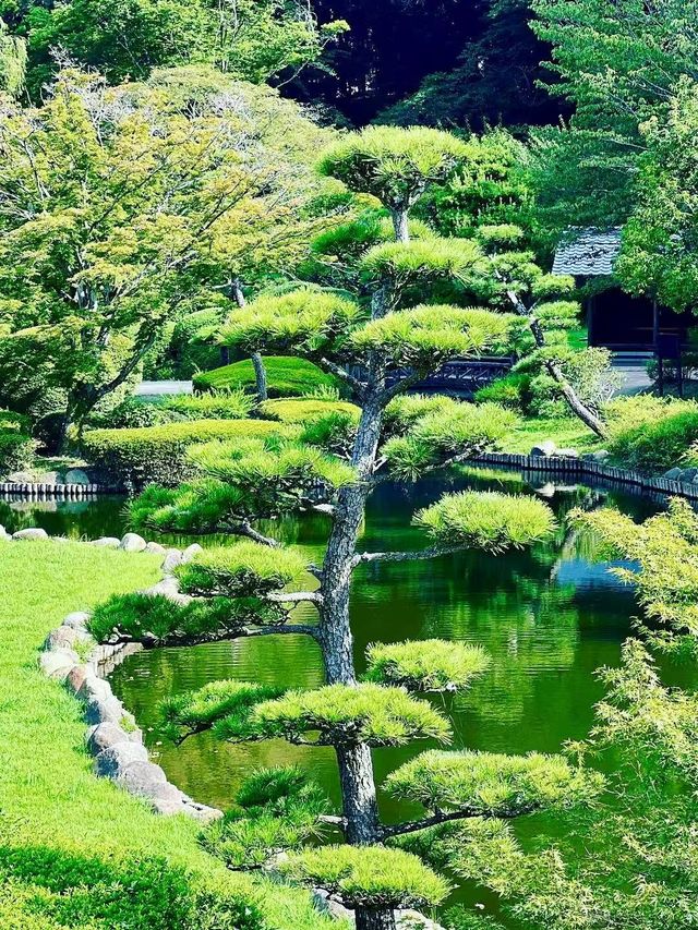 春日浪漫天花板櫻花花火一日遊｜附攻略。
