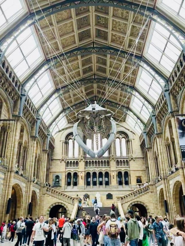 From Screen to the UK's Museum Amazing