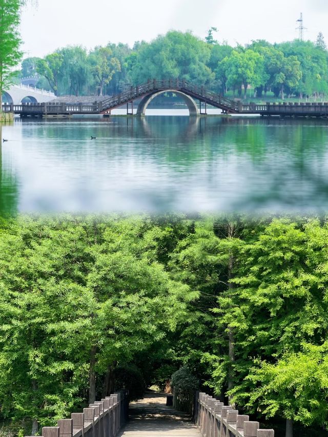阜陽濕地生態園︱邂逅自然野趣全攻略