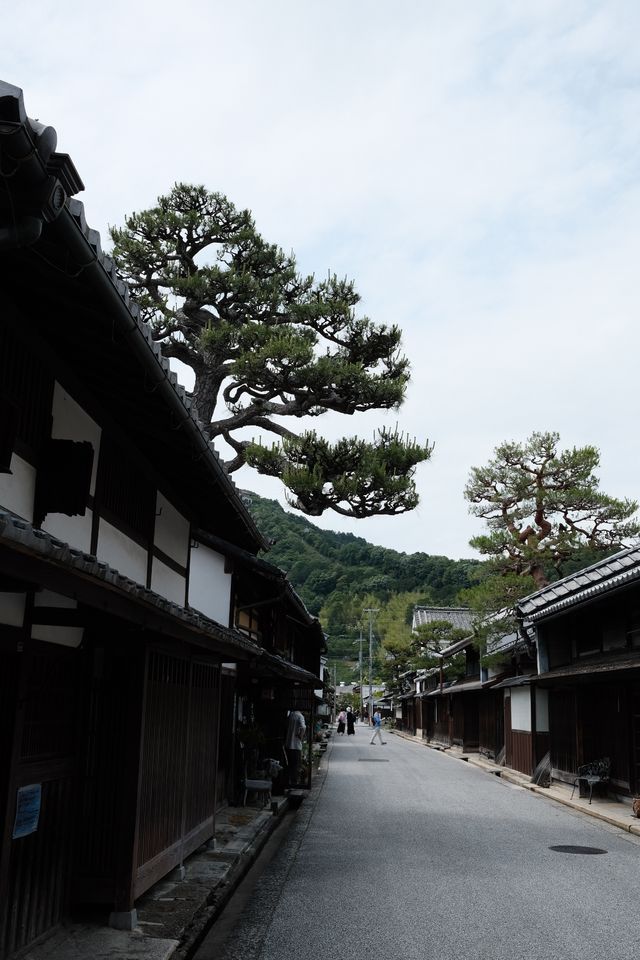 京都周邊避世古鎮・近江八幡Chill一日遊