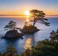 松島：仙台的夢幻水鄉畫卷