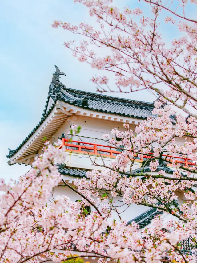 카라츠 벚꽃 명소&시기 리스트! 즐겨찾기 추가