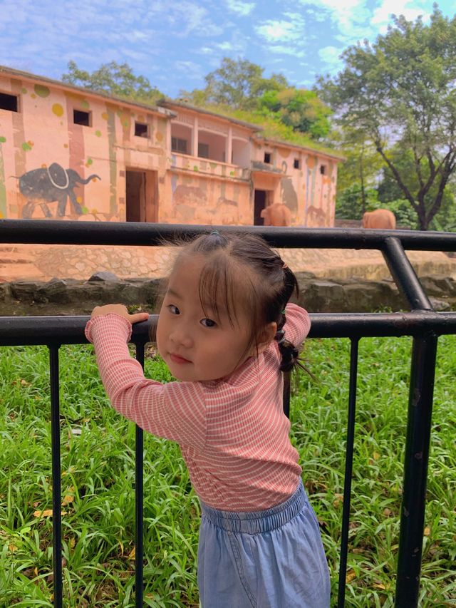 親子遊｜從深圳跑去廣州動物園，大怨種？