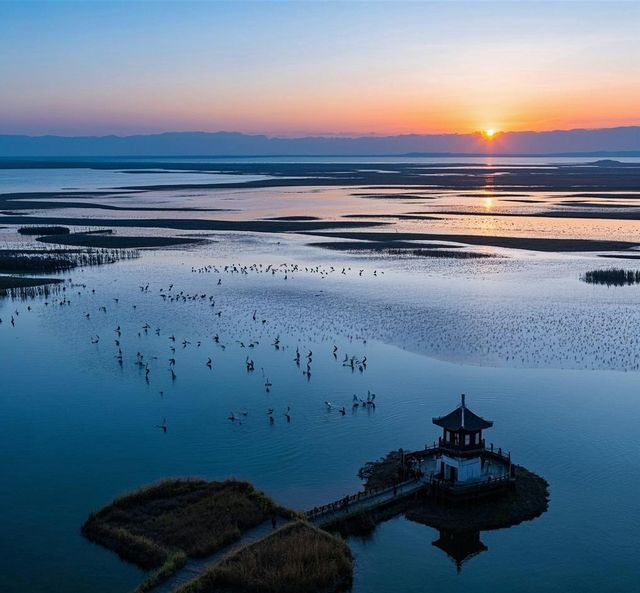 鄱陽湖國家濕地公園 | 落霞與孤鶩齊飛具象化了