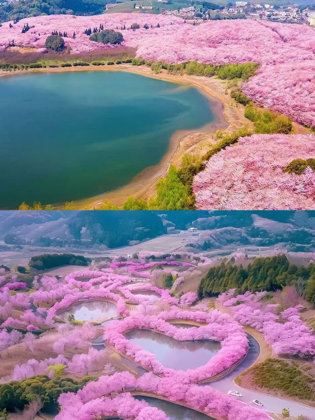貴州的春日花海美得像畫