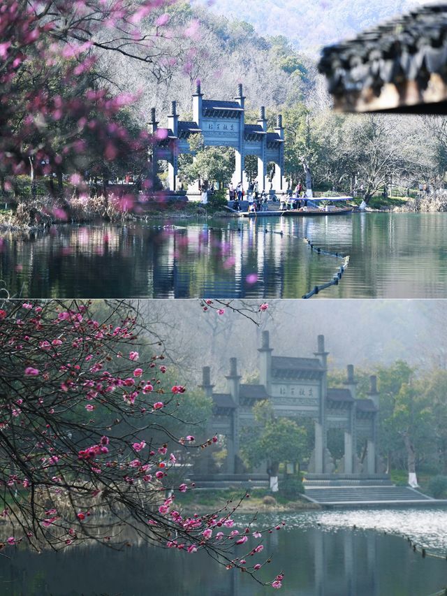 邂逅江南嘅春日浪漫！杭州最美賞梅地推薦