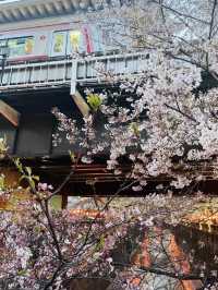 目黑川的浪漫之旅：東京的水岸風情