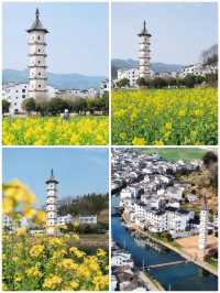 泰華寺·千島湖·田園古村探秘
