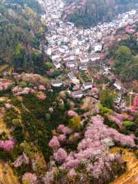 黃山小長假 2日玩轉熱門風景