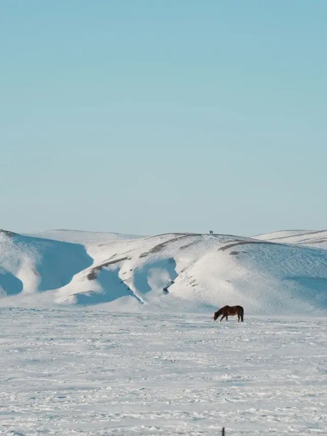 A 5-Day Hulunbuir Family Trip: A Super Detailed Guide