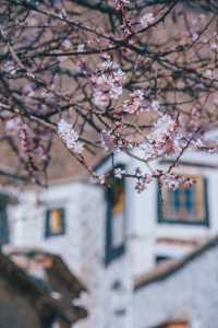 哲蚌寺，一座來了就不想走的寺廟