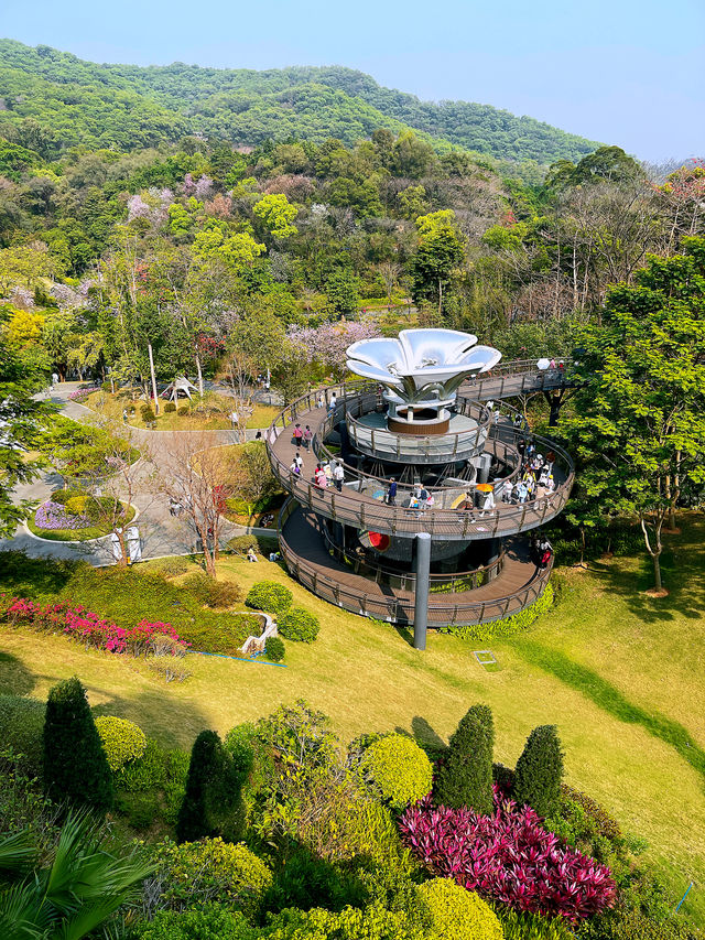 廣州攻略｜花城賞花熱，雲蘿植物園打卡多巴胺