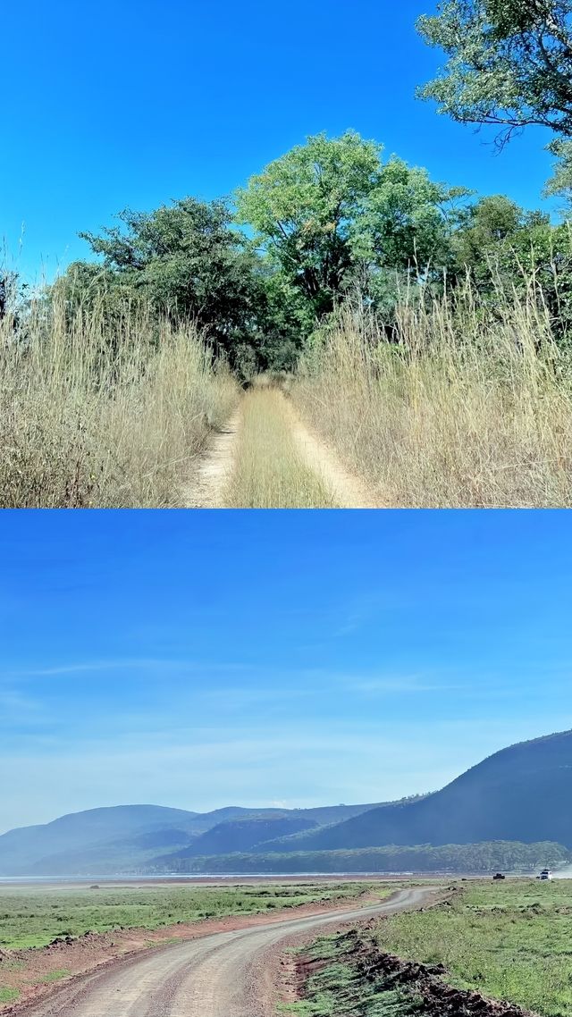 物價超離譜的非洲小國想逃