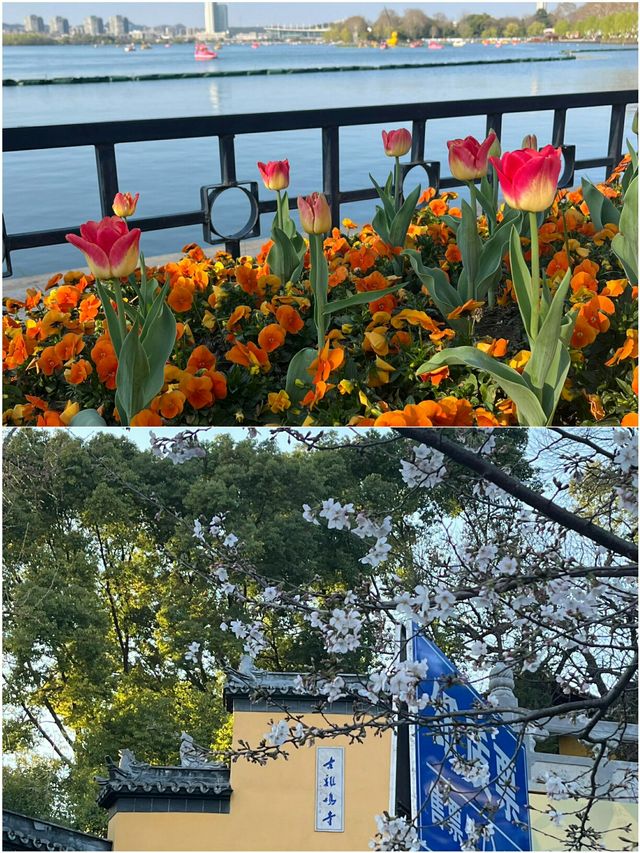 2025 大學生私藏清單