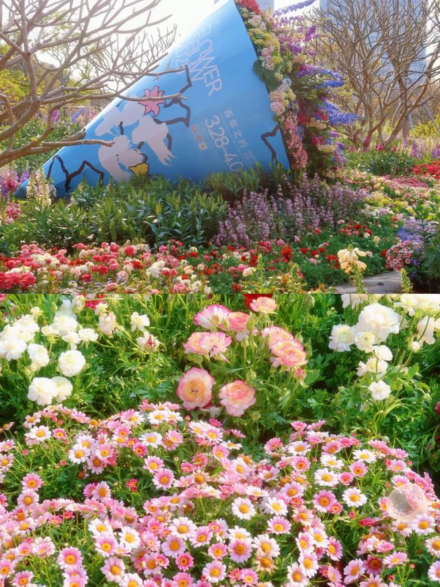 3.27實拍！筆架山公園將美出新高度！