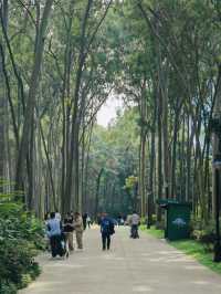 深圳寶藏一日游：筆架山+深業上城