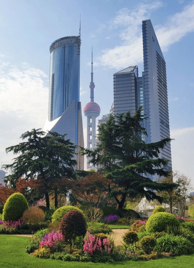 街頭翻新花樣，影到一張超靚嘅明珠盆景🪴相