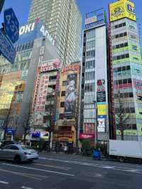 【秋夜原物語：次文化聖殿的永恆狂歡】
