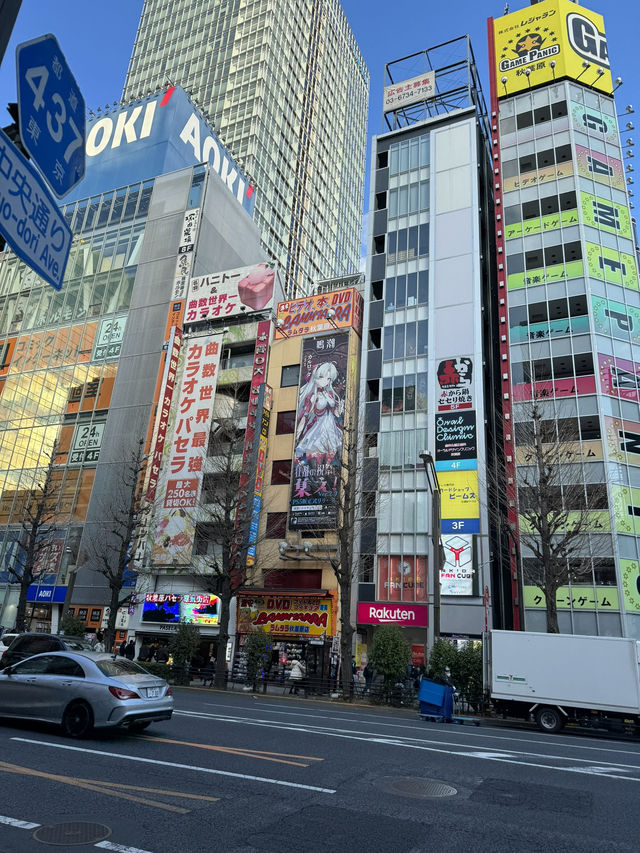 【秋夜原物語：次文化聖殿的永恆狂歡】