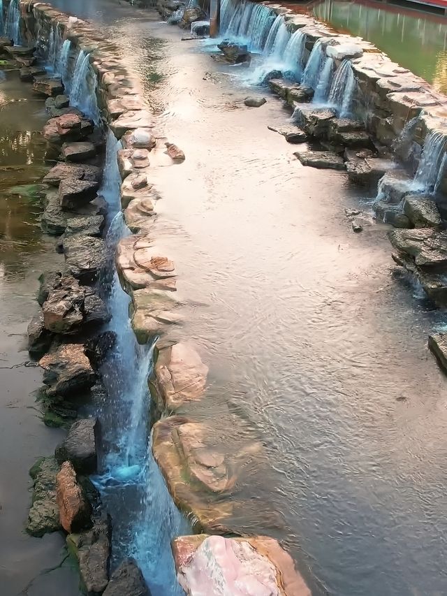 西流湖公園：梅香四溢嘅冬日詩意
