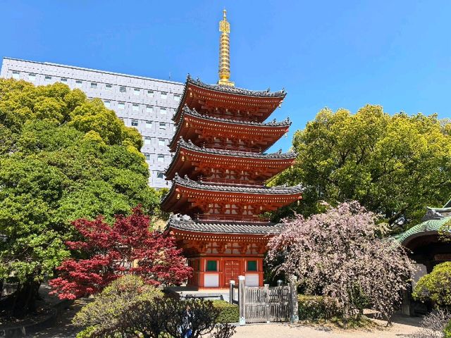 福岡出發熊本兩日探勝：古城、火山與草原交响曲