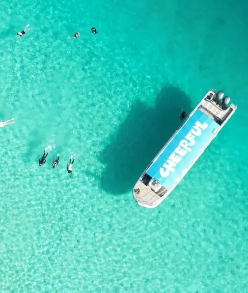 Jellyfish Sea or Glass Sea? You can have both!