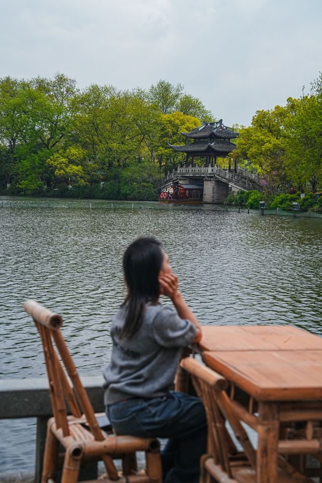 早春野趣 | 茅堤至烏龜潭秘境賞桃花環線攻略