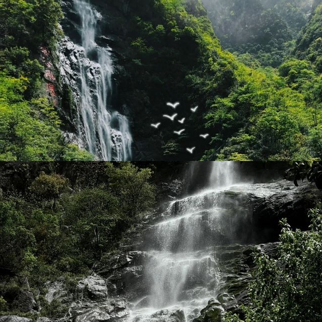 以為武功山好靚 直到我嚟咗明月山