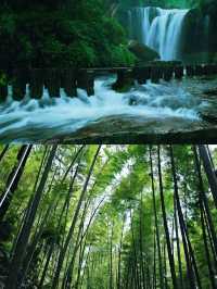 一竹一世界，一步一風景｜蜀南竹海的禪意慢旅行