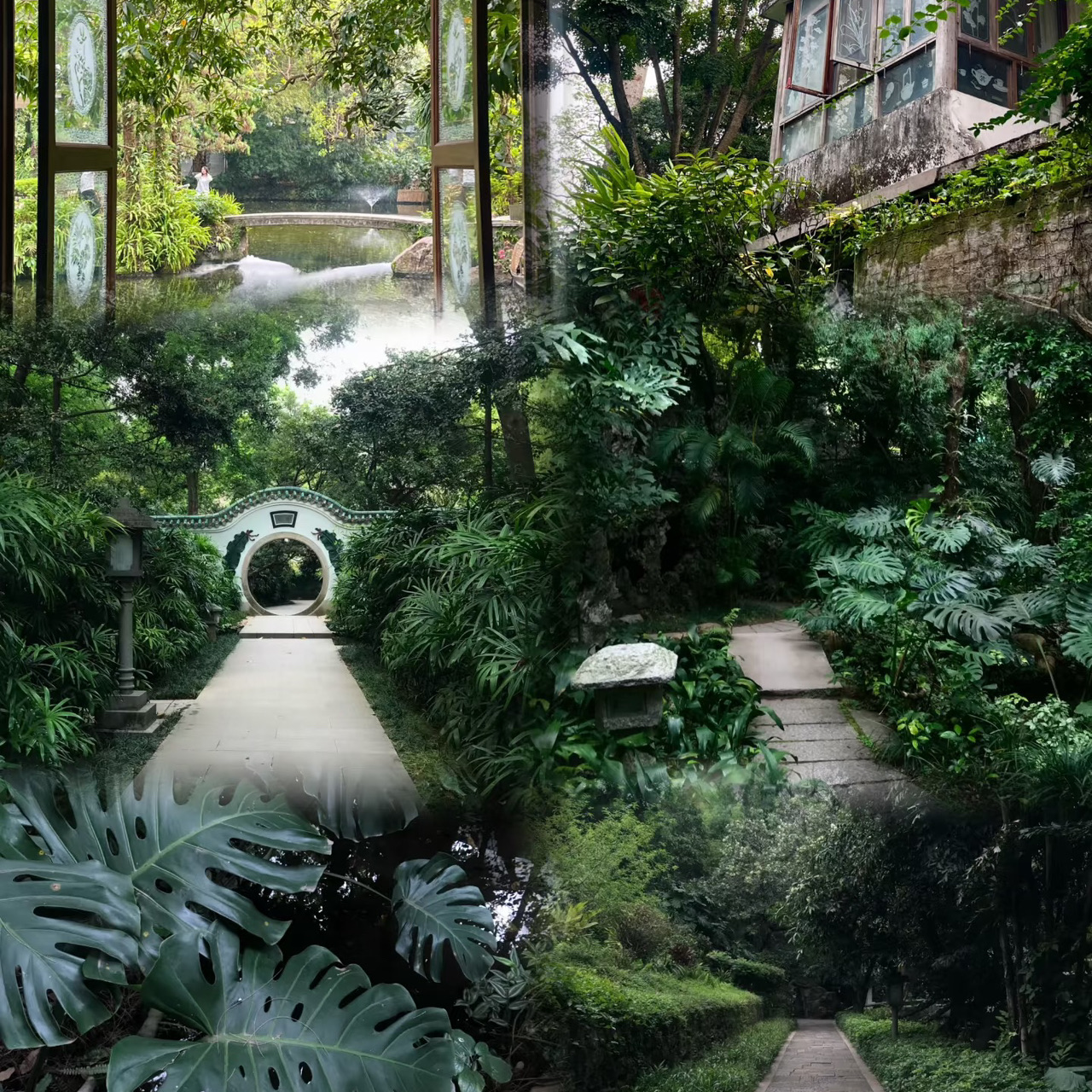 #Guangzhou Itinerary
✨"A winding path leads to a secluded place, where a Zen room is surrounded by flowers and trees." At the foot of Yuexiu Mountain, there is a picturesque secret place hidden - Orchid Garden. This is a Jiangnan garden style, with gurgling water under small bridges, and pavilions and towers scattered around. Every step you take, the scenery you see is full of poetry.

A wall separates us from the noise of the outside world. Beneath the white walls and black tiles, orchids sway gracefully. Here, time seems to slow down, more than three times slower than outside. The moment when the kapok flowers slowly fall is just enough time to read a timeless haiku🫧.

Game guide
📍Guangzhou Orchid Garden
💳Tickets are 8 yuan, no reservation is required, just buy tickets on site
⏰Opening hours: 8:00-18:00
🚇Exit B2 of Yuexiu Park on Line 2, 4 minutes’ walk
‼ ️There are many mosquitoes in the park, be sure to bring mosquito repellent!
💡It is recommended to go there in the morning or evening, when the light is softer and it is easier to take photos
The park is not large and can be visited leisurely in 2-3 hours, which is very suitable for relaxing

#One of the four major gardens in Lingnan #Find a quiet place #The charm of Jiangnan in the garden alleys #The Wizard of Oz like the willow waves and the orioles