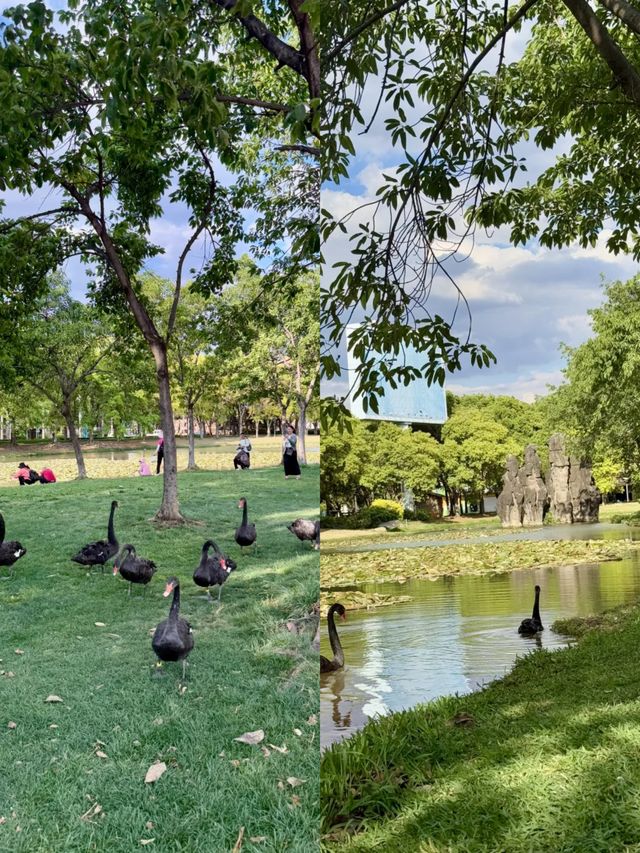 彌勒湖泉生態園｜漫步湖光，泡湯享寫意時光～