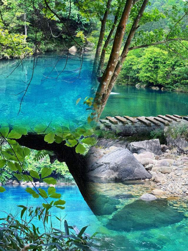 石台｜旅遊攻略嚟啦