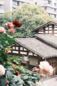 春日限定，古厝入面嘅寫意慢時光