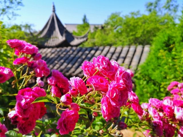 盤錦市江南風情園自駕遊旅行筆記攻略