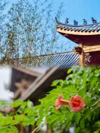 汴梁嘅江南風韻，海棠花語令人陶醉