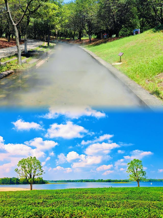 "坐標蘭湖！刷到這條視頻的你，2024年一定會被好運水波包圍