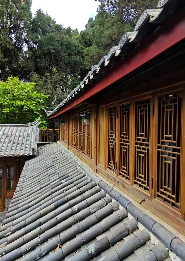 酒店日常觀（一）貓-當慫包遇上惡霸