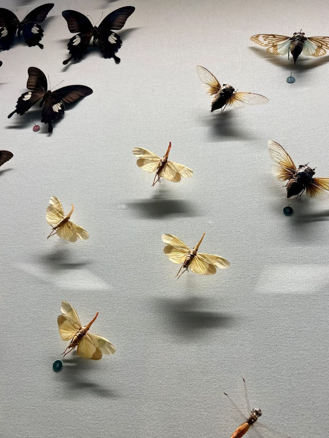 科學的奇幻劇場：香港科學館的知識冒險