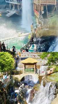 高山原始森林嘅呼吸，溪流喺腳下低吟