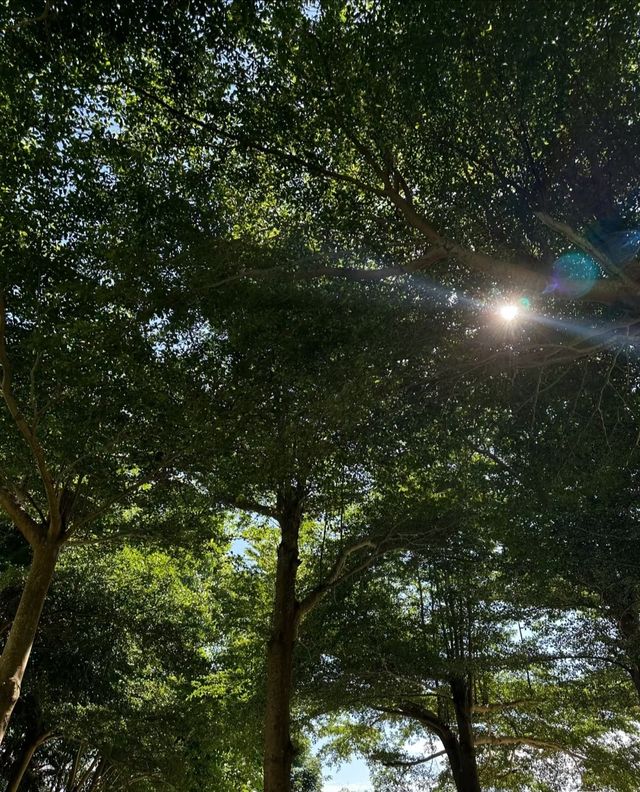 海棠灣香格里拉