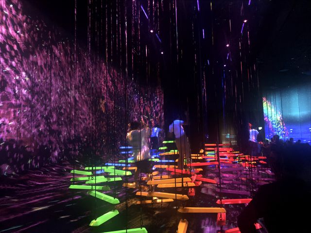 新加坡藝術科學博物館遊覽體驗